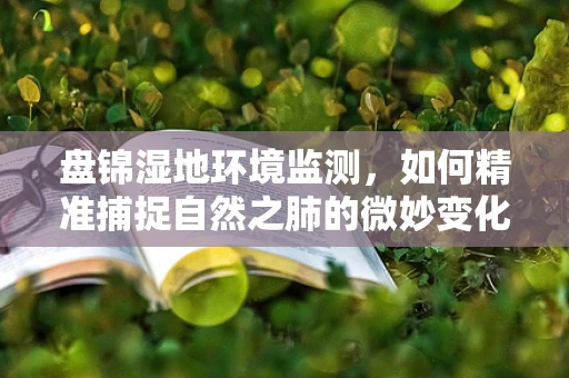 盘锦湿地环境监测，如何精准捕捉自然之肺的微妙变化？