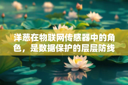 洋葱在物联网传感器中的角色，是数据保护的层层防线吗？