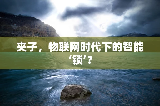 夹子，物联网时代下的智能‘锁’？