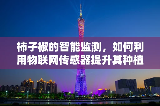 柿子椒的智能监测，如何利用物联网传感器提升其种植效率？