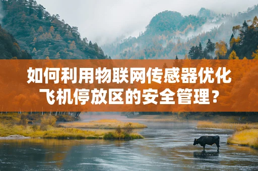 如何利用物联网传感器优化飞机停放区的安全管理？