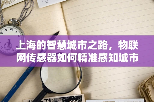 上海的智慧城市之路，物联网传感器如何精准感知城市脉动？