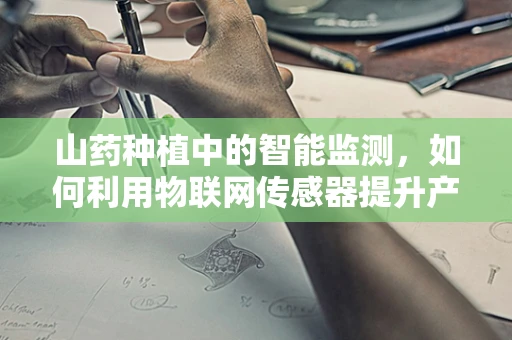 山药种植中的智能监测，如何利用物联网传感器提升产量与品质？