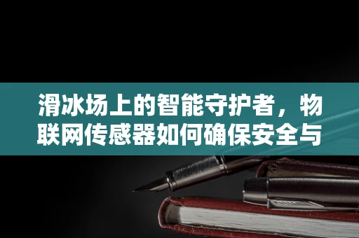滑冰场上的智能守护者，物联网传感器如何确保安全与效率？