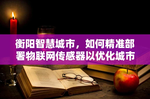 衡阳智慧城市，如何精准部署物联网传感器以优化城市管理？