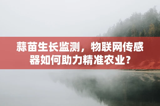 蒜苗生长监测，物联网传感器如何助力精准农业？