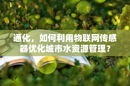 通化，如何利用物联网传感器优化城市水资源管理？