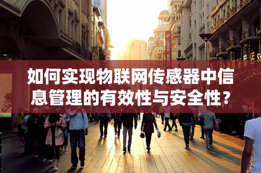 如何实现物联网传感器中信息管理的有效性与安全性？