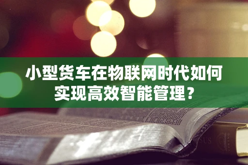 小型货车在物联网时代如何实现高效智能管理？
