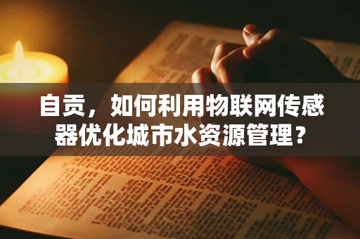 自贡，如何利用物联网传感器优化城市水资源管理？