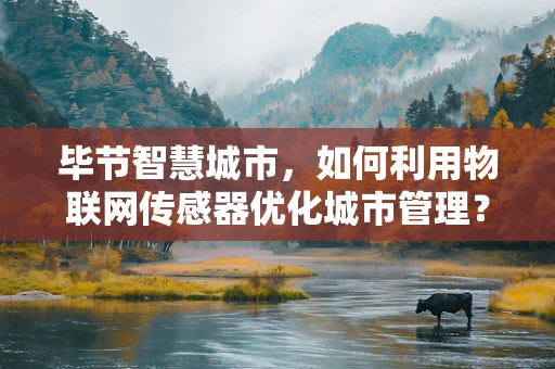 毕节智慧城市，如何利用物联网传感器优化城市管理？