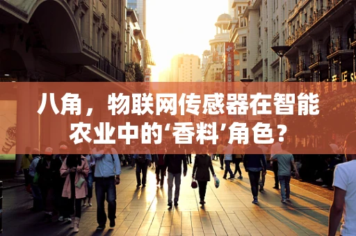 八角，物联网传感器在智能农业中的‘香料’角色？