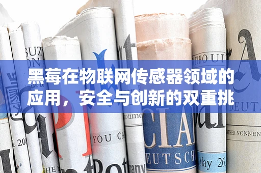 黑莓在物联网传感器领域的应用，安全与创新的双重挑战