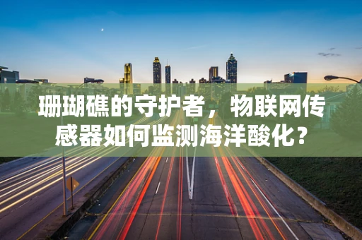 珊瑚礁的守护者，物联网传感器如何监测海洋酸化？