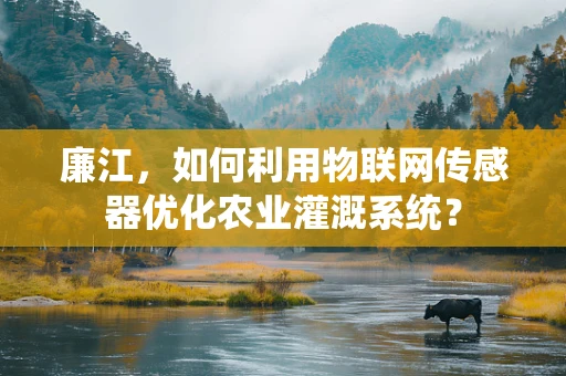 廉江，如何利用物联网传感器优化农业灌溉系统？
