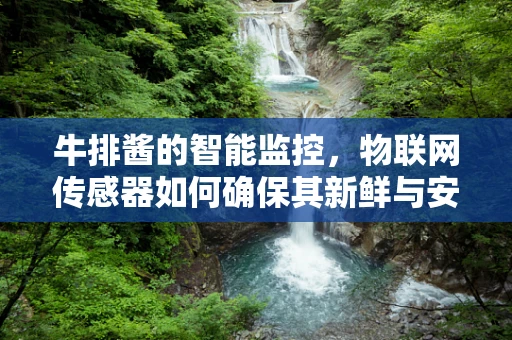 牛排酱的智能监控，物联网传感器如何确保其新鲜与安全？
