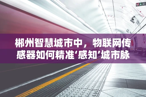 郴州智慧城市中，物联网传感器如何精准‘感知’城市脉动？