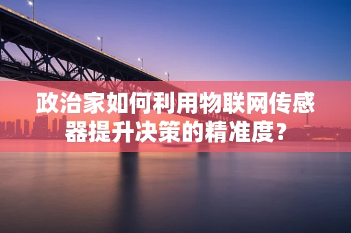 政治家如何利用物联网传感器提升决策的精准度？