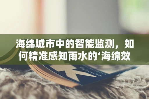 海绵城市中的智能监测，如何精准感知雨水的‘海绵效应’？