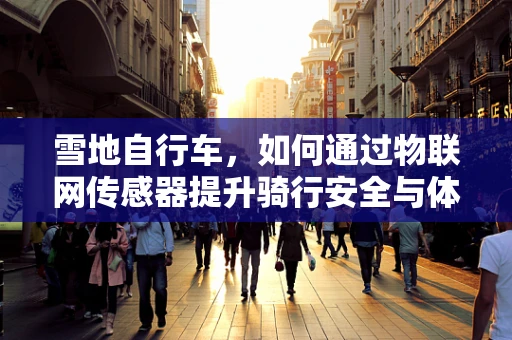 雪地自行车，如何通过物联网传感器提升骑行安全与体验？