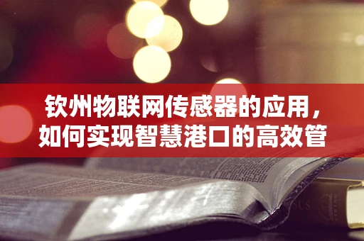钦州物联网传感器的应用，如何实现智慧港口的高效管理？