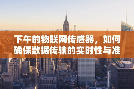 下午的物联网传感器，如何确保数据传输的实时性与准确性？