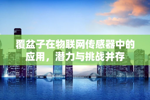 覆盆子在物联网传感器中的应用，潜力与挑战并存