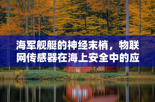 海军舰艇的神经末梢，物联网传感器在海上安全中的应用挑战