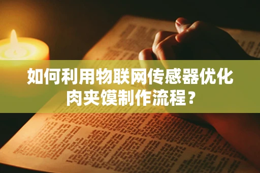 如何利用物联网传感器优化肉夹馍制作流程？