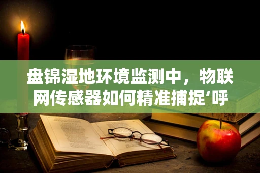 盘锦湿地环境监测中，物联网传感器如何精准捕捉‘呼吸’？