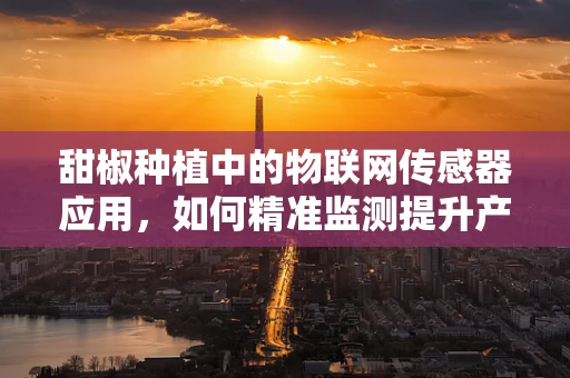 甜椒种植中的物联网传感器应用，如何精准监测提升产量？