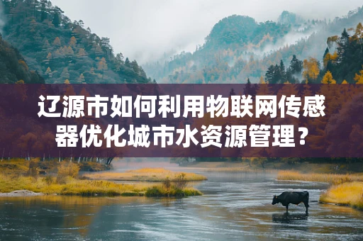 辽源市如何利用物联网传感器优化城市水资源管理？