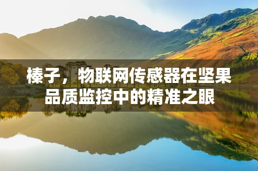 榛子，物联网传感器在坚果品质监控中的精准之眼