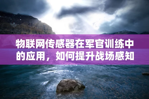 物联网传感器在军官训练中的应用，如何提升战场感知能力？