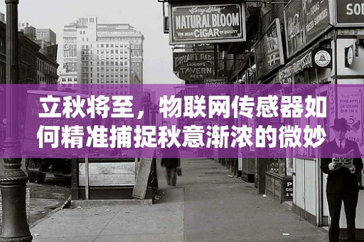 立秋将至，物联网传感器如何精准捕捉秋意渐浓的微妙变化？