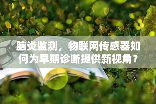 脑炎监测，物联网传感器如何为早期诊断提供新视角？