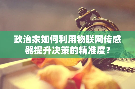政治家如何利用物联网传感器提升决策的精准度？