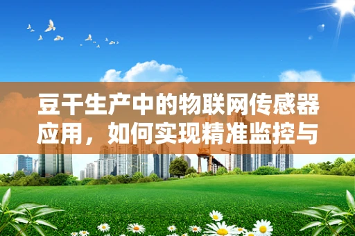 豆干生产中的物联网传感器应用，如何实现精准监控与优化？