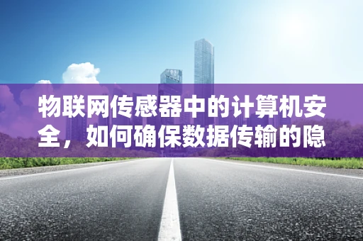 物联网传感器中的计算机安全，如何确保数据传输的隐私与安全？