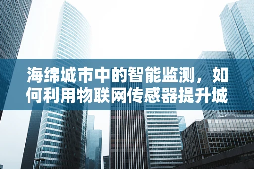 海绵城市中的智能监测，如何利用物联网传感器提升城市排水效率？