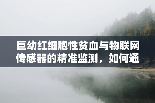 巨幼红细胞性贫血与物联网传感器的精准监测，如何通过数据优化患者管理？