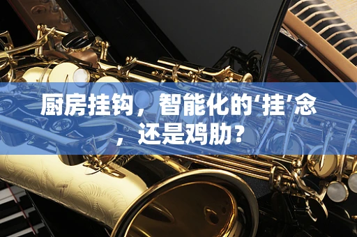 厨房挂钩，智能化的‘挂’念，还是鸡肋？