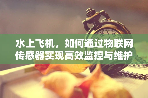 水上飞机，如何通过物联网传感器实现高效监控与维护？