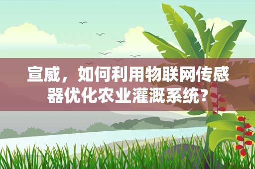 宣威，如何利用物联网传感器优化农业灌溉系统？
