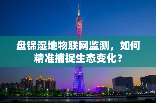 盘锦湿地物联网监测，如何精准捕捉生态变化？