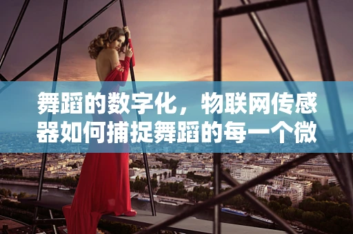 舞蹈的数字化，物联网传感器如何捕捉舞蹈的每一个微妙动作？