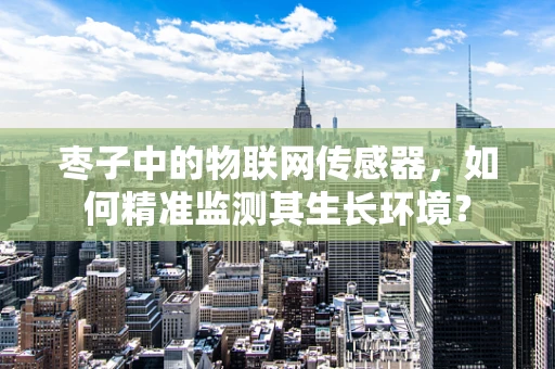 枣子中的物联网传感器，如何精准监测其生长环境？