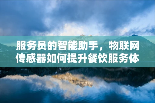 服务员的智能助手，物联网传感器如何提升餐饮服务体验？