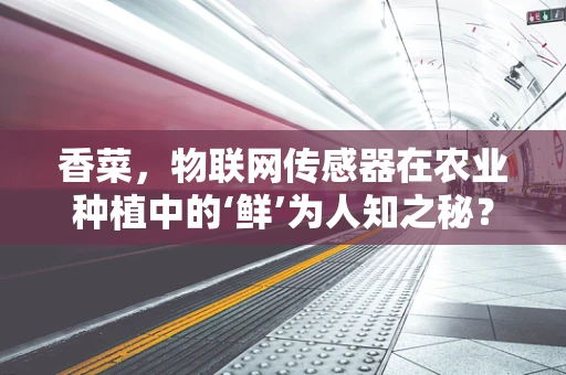 香菜，物联网传感器在农业种植中的‘鲜’为人知之秘？