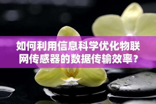 如何利用信息科学优化物联网传感器的数据传输效率？